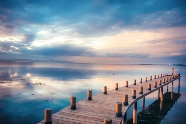 中南大学刘小惠简介照片