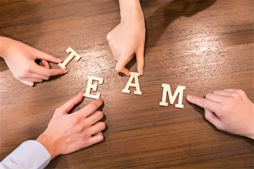 奥塔哥大学的简介