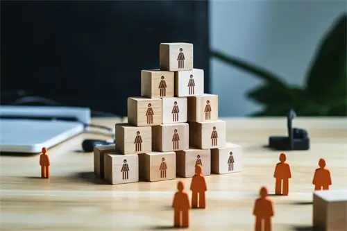 丹麦技术大学董教授简介